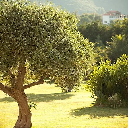 Apart-hotel Porto Koufo Resort